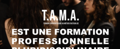 T.A.M.A . - Terrain d'apprentissage au métier d'acteur.ice