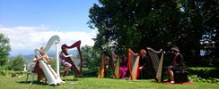 le petit conservatoire de la harpe  - cours de harpe celtique, Bientot a VANNES